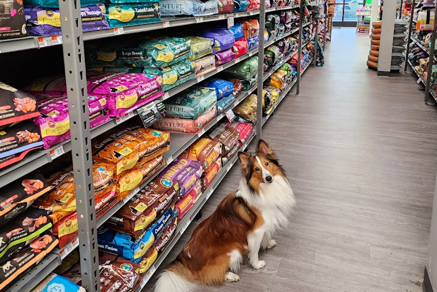 Pet Supplies Plus