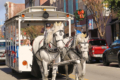 wilmington historic horse carriage