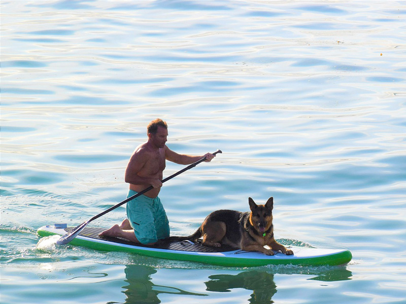 pet friendly water sports